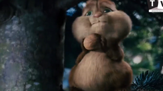 3 Chú Sóc Biết Nói - Đậu Xanh Rau Má Cái Quần Đùi Gì Đây P1