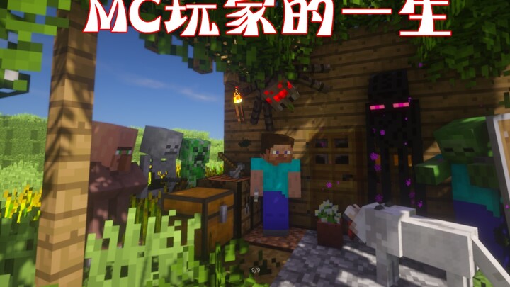 【Minecraft】How many MC players have been recorded in this short film