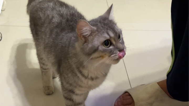 Hunting Moment! [Fat Beef]