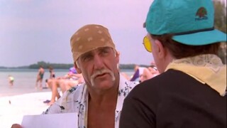 LA ISLA DE MCCINSEY (1998)