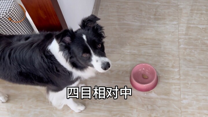 Today's shooting technique is flashback