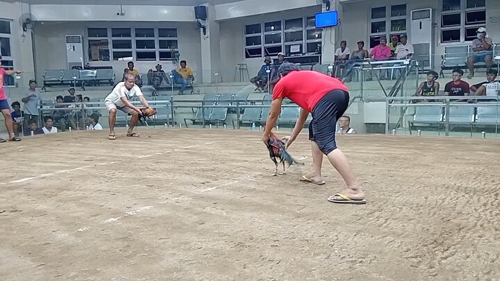 Double entry - 2hits ulutan Champion