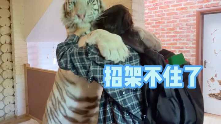 🦓：คน คุณกลับมาแล้วเหรอ!!🥹