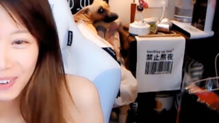 这女主播还会要这只狗吗