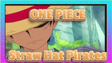 [ONE PIECE] 20th Anniversary| Luffy| Epic Mixed Edit| Hot-Blooded| Straw Hat Pirates