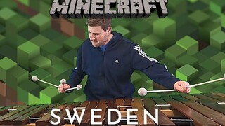 [Nhạc]Trình diễn marimba & vibraphone bài <Sweden>|<Minecraft>