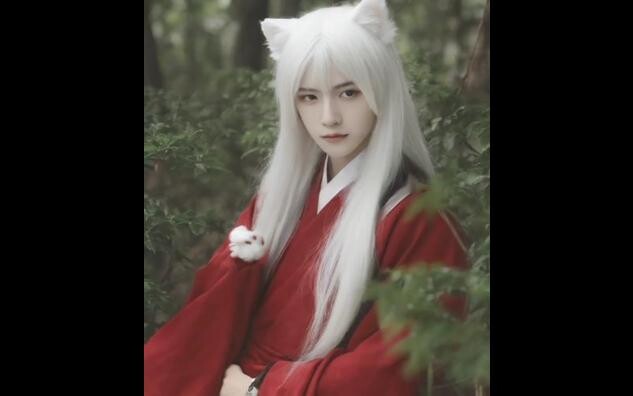 Độ giống phong cách "InuYasha" là 63%