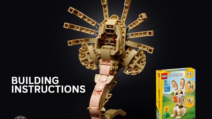 عواقب تركيب ليغو دون استخدام الدليل