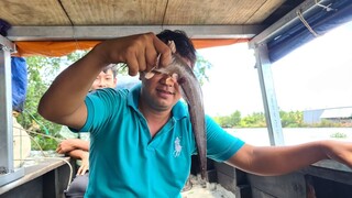 Thả cần kiếm bửa cơm. Cá ngát, cá úc, cá vện ấm lòng bữa cơm trưa - Bin Đen Miền Tây # 203