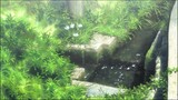 [Natsume's Book of Friends] Healing summer, every frame is a wallpaper
