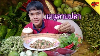 ลาบปลาแซ่บๆคำเข้าเหนียวฮ้อนๆตุ้ยลงใสลาบปลากินใสกับผักกระเดาทั้งขมทั้งแซ่บ|แซ่บอิหลี