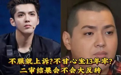 Wu Yifan, ever restless for attention, has once again made the headlines: he’s appealed the verdict.