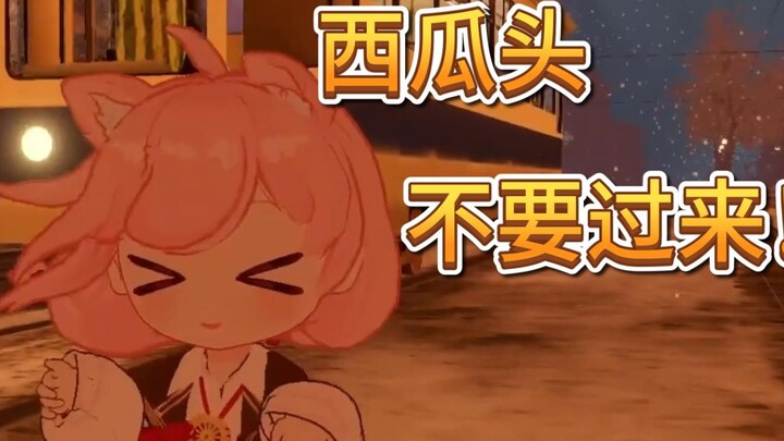 Xiao Fei bravely jumped out of the car to escape from Watermelon Head! But she was still injured (ba