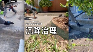 原来塌陷的路面是这样抬起来的！（我真的好喜欢看各种各样的修建）