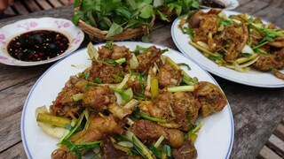 GÀ VƯỜN XÀO SẢ ỚT - Bin Đen Miền Tây # 357