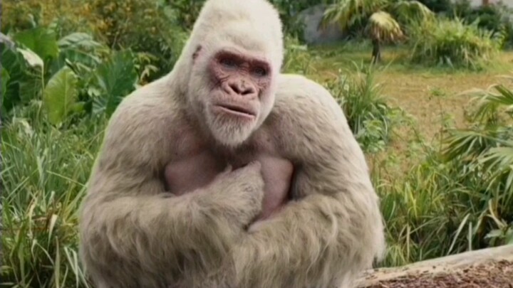เจ้าตัวใหญ่คนนี้ดูคุ้นๆ มั้ย [Rampage] เบื้องหลังการจับภาพเคลื่อนไหว vs. ภาพยนตร์
