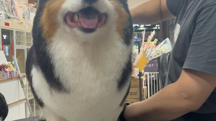 ชู่ว์ อย่าพูดนะ…เรียกฉันว่าที่รักนะคะ