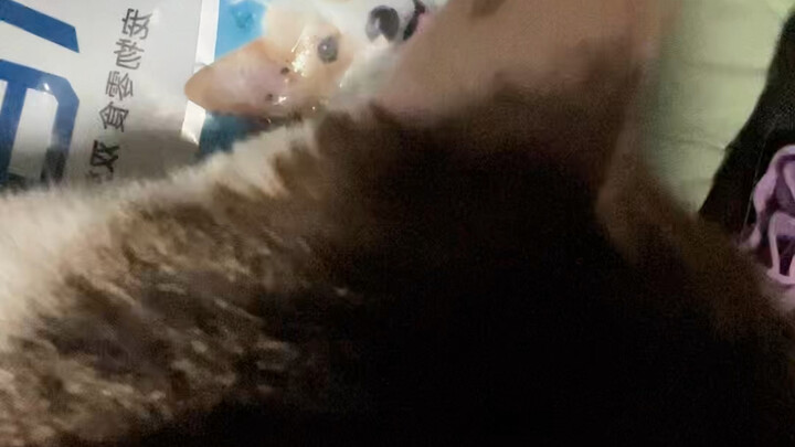 As soon as I turn my head, it starts biting!