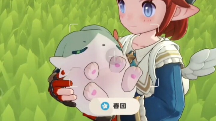 Just in case you didn’t know, Chun Tuan will fall asleep when you hold it.