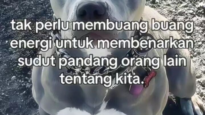 jng jadi manusia pegonggong