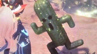 What is this ()?
