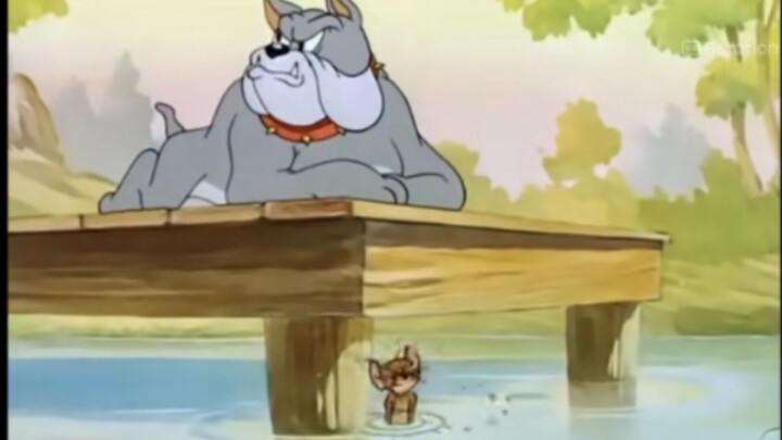 Tom and Jerry | Fishing