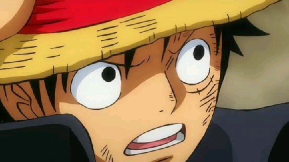 Straw Hat Pirates