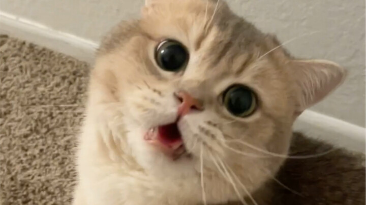 I don’t know if you could smell it too, but I had to breathe in some oxygen for a while before I fin