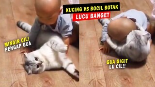 LUCU & MENGGEMASKAN! Saat Kucing Gendut dan Anak Kecil Gundul Main Bareng! Kucing Lucu Bikin Ngakak