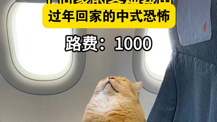 رعب صيني في العودة إلى الوطن للاحتفال بالعام الجديد