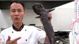 The white cat watched Wang Gang making braised giant salamander. It looked so disgusting. I want to 