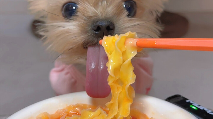 Today I’m eating puppy-style hot pot noodles 🍲