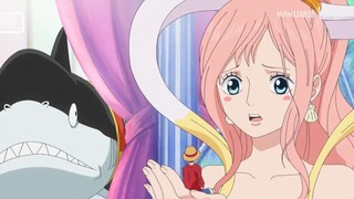 One Piece: Aturan besi di pesawat ruang angkasa Straw Hat Road, kapten bisa mengalahkannya, dan tidak ada yang diizinkan untuk mengambil kursi khusus