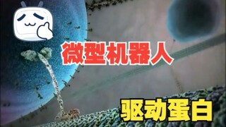 Mikrorobot yang menakjubkan: kinesin! Alam sungguh menakjubkan.