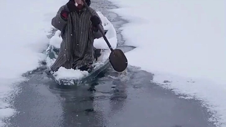 على Bilibili، تكتشف حياةً أخرى: حتى لو أُعيدت إلى الدنيا كلبًا في المرة القادمة، فهذا لا بأس به. الع