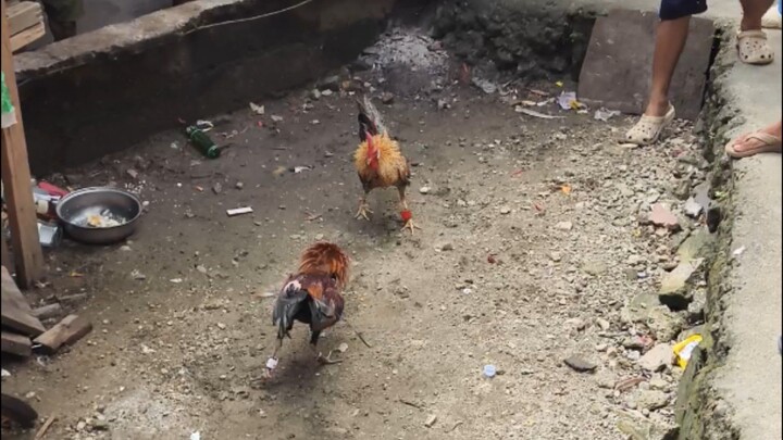 Oct 5 Bulik vs Mayahin