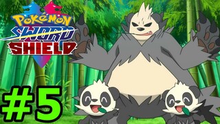 Đi Săn Gấu Con Siêu Cute Hạt Me Pachamp - Pokemon Sword And Shield Mới Nhất #4 Top Game Thành EJ