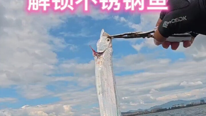 Câu cá biển bằng thép không gỉ