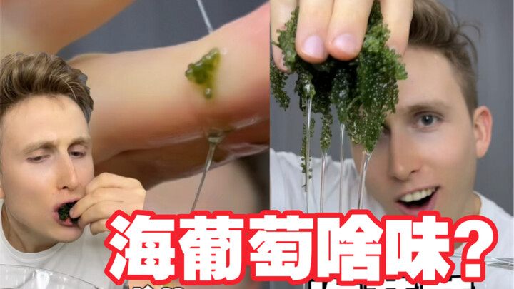 ฝรั่งลองชิมสาหร่ายพวงองุ่นฮิต! หน้าตาน่ากลัวขนาดนี้ จะอร่อยไหมนะ??