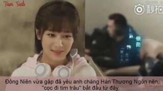 Tóm tắt nội dung Phim Cá Mực Hầm Mật