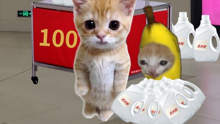 Banana Cat goes shopping on the street and happens to run into a promotional event!