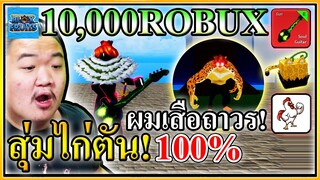 สุ่มไก่ตัน 100% ได้รหัส 10,000 Robux แบบงงๆ - Blox Fruits 🐣