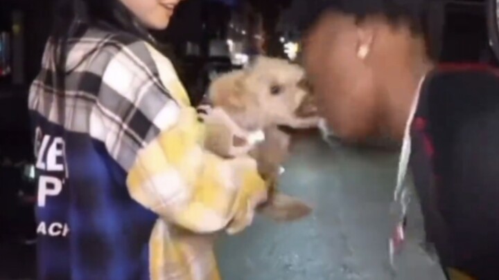 Don't laugh challenge ❾