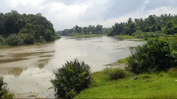 Beautiful river