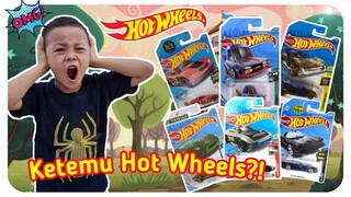 PENEMUAN MAINAN HOT WHEELS || Mainan Hot Wheels