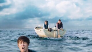 一船猪队友，这船我是真不敢坐