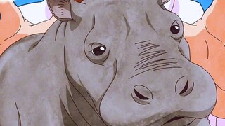 男人只用了两步，居然就把河马变成了海豚！