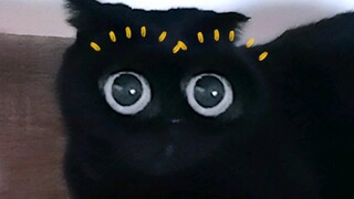 The kitty under the bed can be used as a light bulb! Don't believe me? Watch the video...