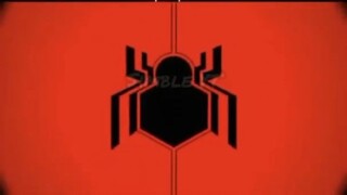 Masih ingat sama 3 spiderman ini gk?