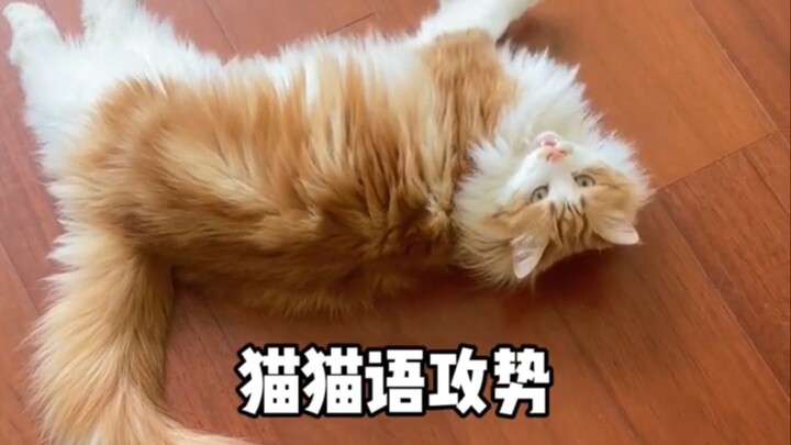 Though very angry, it doesn’t stop her from being cute.